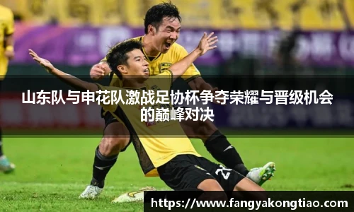 山东队与申花队激战足协杯争夺荣耀与晋级机会的巅峰对决